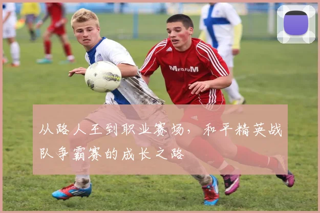 从路人王到职业赛场，和平精英战队争霸赛的成长之路